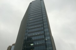 Oriental Financial Plaza (东方金融广场）